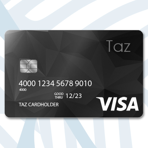 $500 Visa Gift Card
