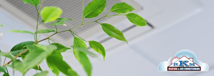 Indoor Air Quality Services in Riverside, CA