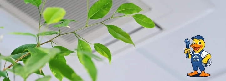 Indoor Air Quality Services in Riverside, CA